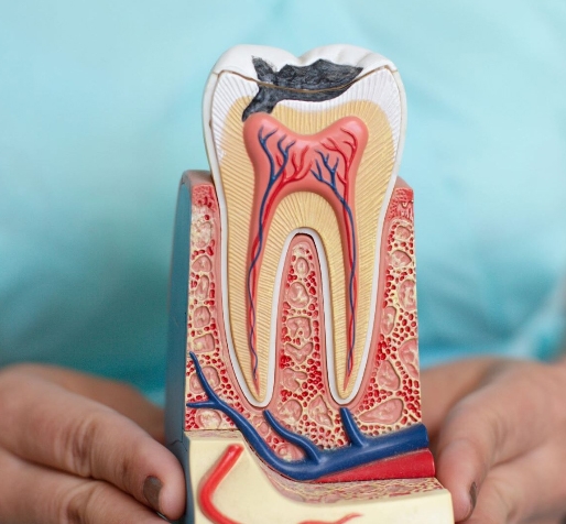 🦷 Elimina el dolor dental con nuestra Endodoncia precisa y sin molestias. Salvamos tus piezas naturales con tratamientos de conducto efectivos 💪. Tu bienestar es nuestra prioridad. Agenda tu hora o consulta vía WhatsApp 📲 ¡Sonríe sin dolor!